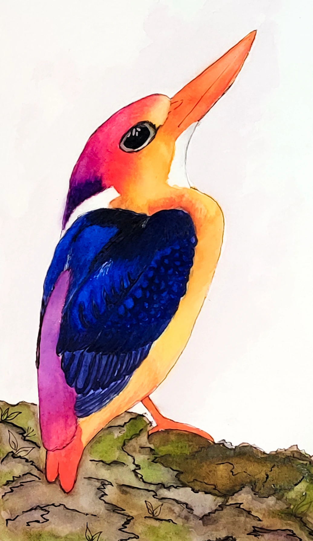oriental-kingfisher